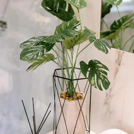 Apartment Rent Mariana Mokwy 20 Zoppot