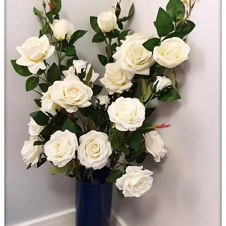 Apartment Rent Mariana Mokwy 20